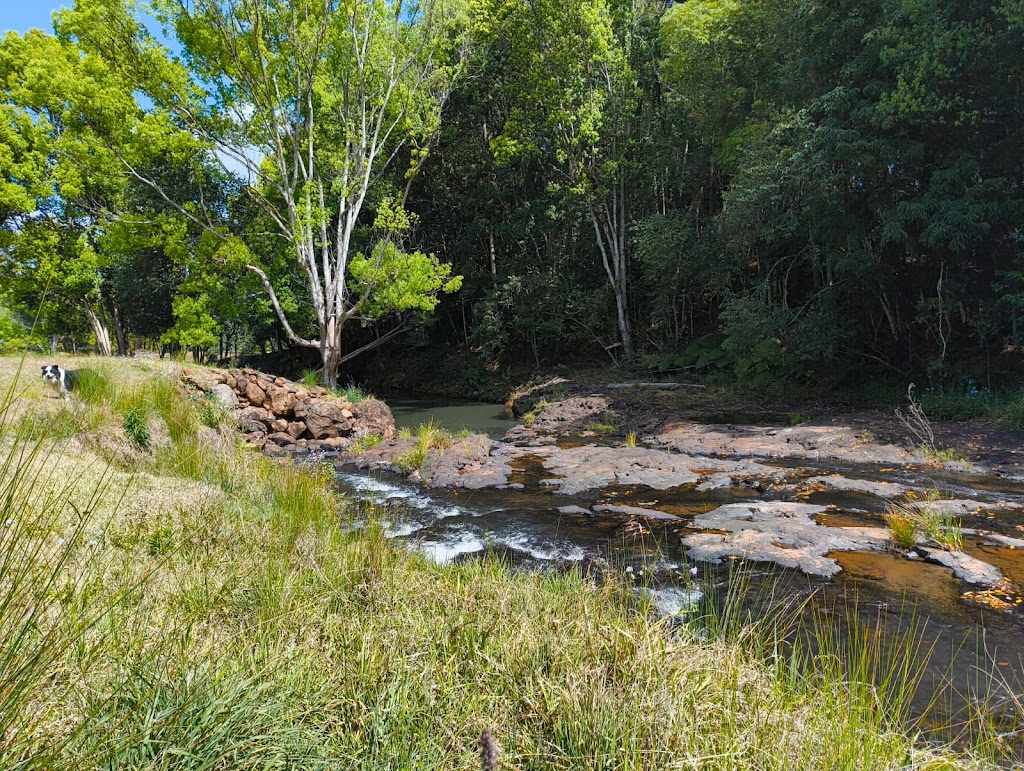 Biodanza School of Australia at Pumulani | 236 Graydon Rd, Corndale NSW 2480, Australia | Phone: 0477 800 001