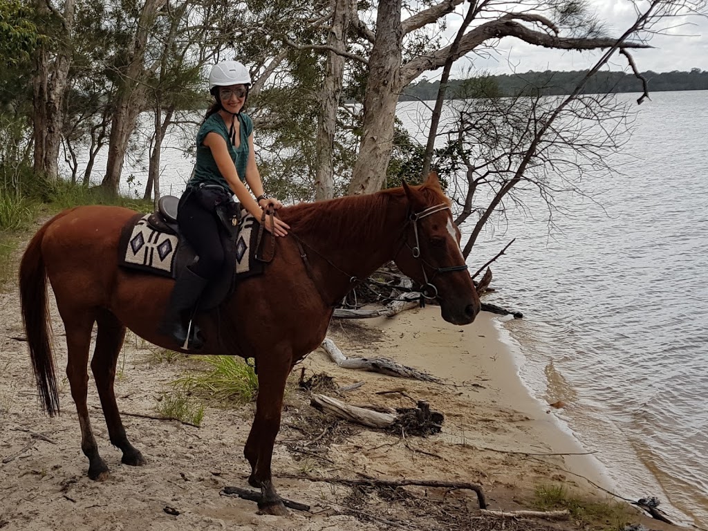 Noosa Horse Riding | travel agency | 22 Wills Road, Weyba Downs QLD 4562, Australia | 0438710530 OR +61 438 710 530