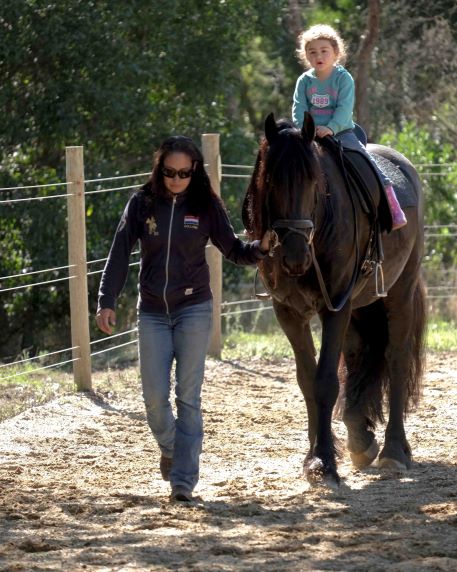 Wildcroft Estate Yea | 526 Ti Tree Creek Rd, Yea VIC 3717, Australia | Phone: 0407 882 935