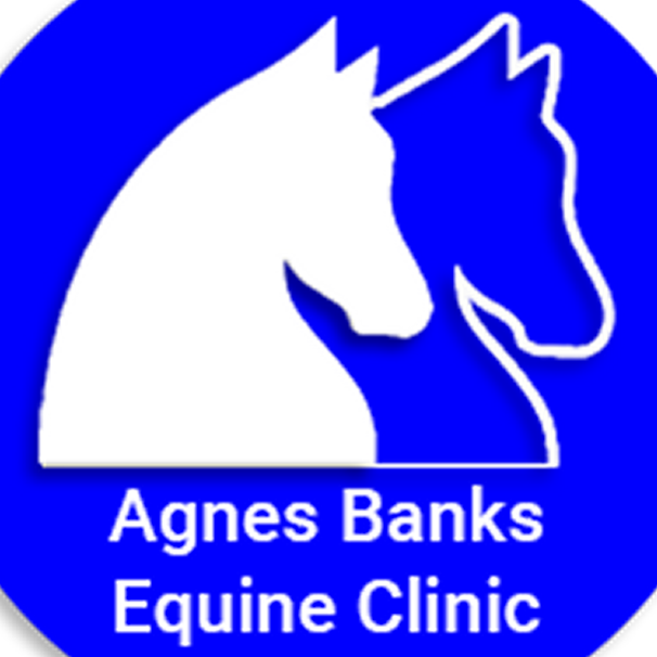 Agnes Banks Equine Clinic | veterinary care | 5 Price Ln, Agnes Banks NSW 2753, Australia | 0245885200 OR +61 2 4588 5200
