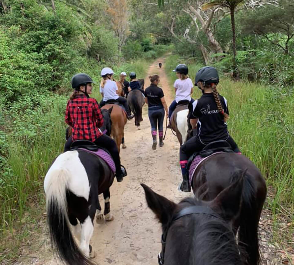 MC Equestrian Riding School | 90 Booralie Rd, Terrey Hills NSW 2084, Australia | Phone: 0433 247 247