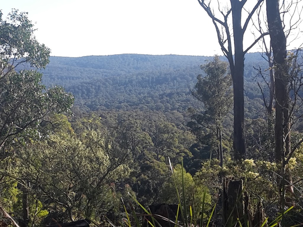 Secret Forest Walks | Woodshed cafe, 21a Raglan St, Daylesford VIC 3460, Australia | Phone: 0418 301 281