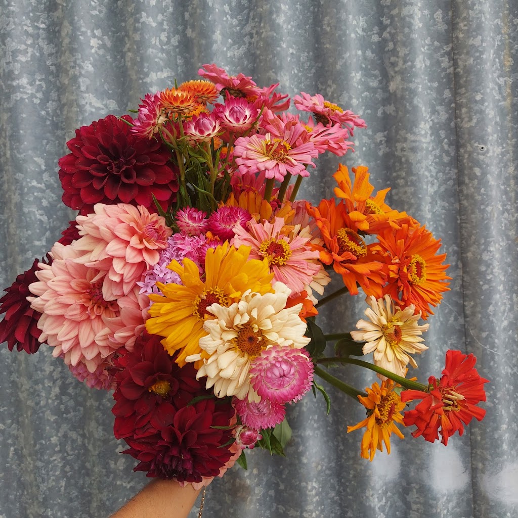 Pikt Roadside Stall | 263 Myocum Rd, Ewingsdale NSW 2481, Australia | Phone: 0478 544 106