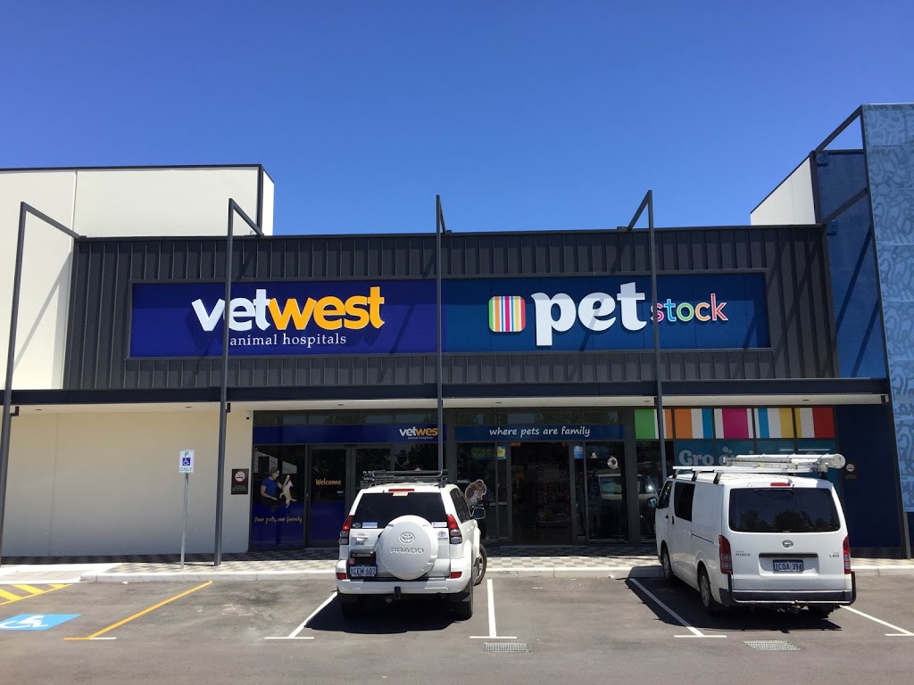 Vetwest Animal Hospitals Ellenbrook | 11 Main St, Ellenbrook WA 6069, Australia | Phone: (08) 9404 1180