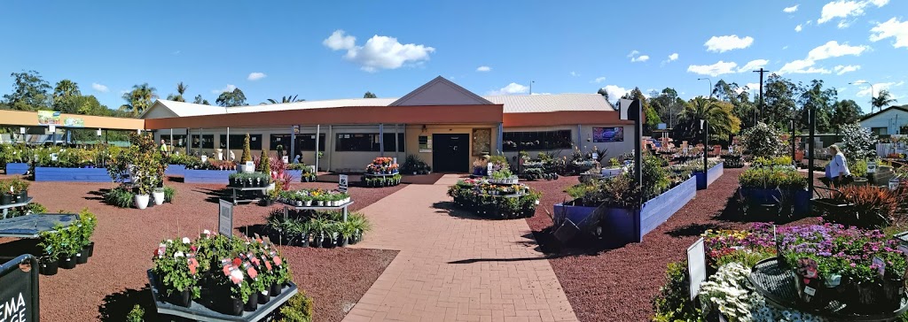 Lee Rowans Gardenworld | store | 72 Pacific Hwy, Ourimbah NSW 2258, Australia | 0243622822 OR +61 2 4362 2822