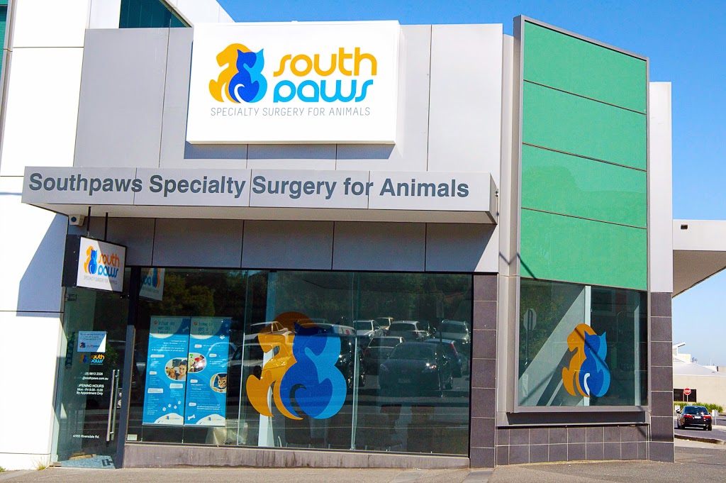 Southpaws Specialty Surgery Consulting Suites | 4/555 Riversdale Rd, Camberwell VIC 3124, Australia | Phone: (03) 9813 2326