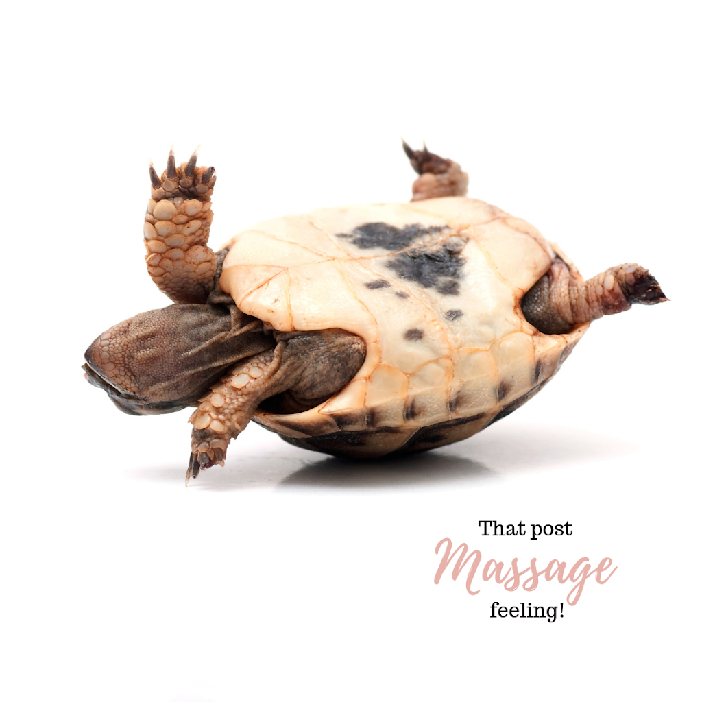 Positive Impact Remedial Massage |  | Gaze Grove, Golden Bay WA 6174, Australia | 0437657050 OR +61 437 657 050