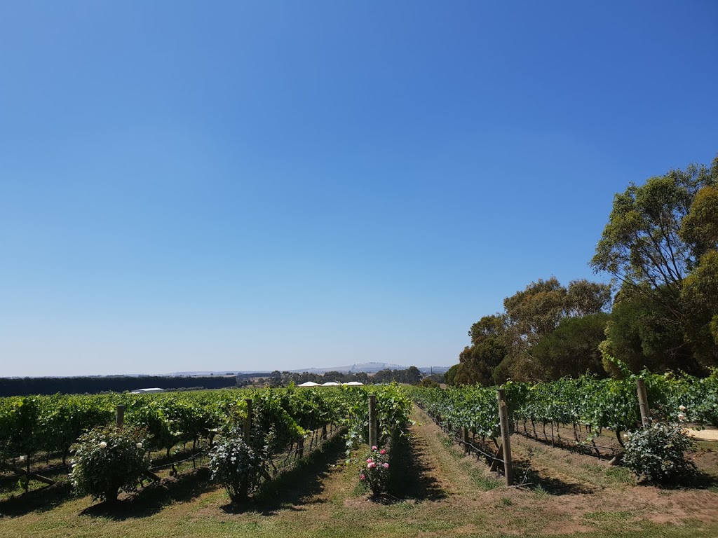 Brown Magpie Wines | tourist attraction | 125 Larcombes Rd, Modewarre VIC 3240, Australia | 0352662147 OR +61 3 5266 2147