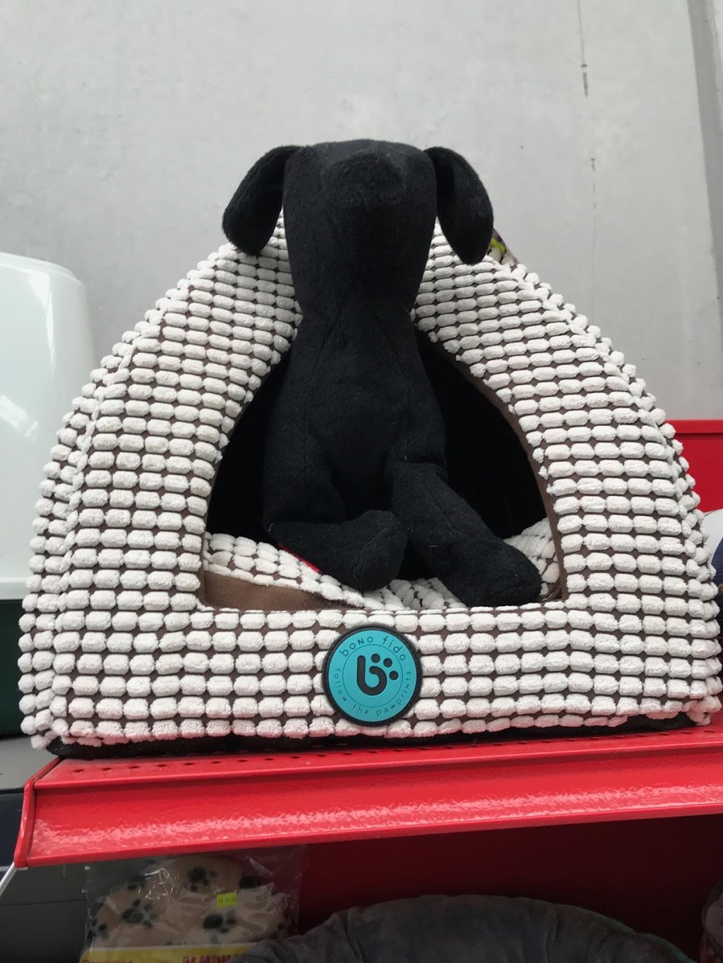 Petorium Pet Supply Warehouse and Manicured Muttz Dog Grooming | pet store | Factory 8/31-33 Milgate Dr, Mornington VIC 3931, Australia | 0359754847 OR +61 3 5975 4847