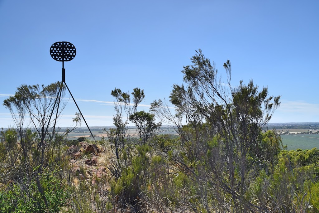 Mount Monster Conservation Park | park | Mount Monster Rd, Keith SA 5267, Australia | 0887622340 OR +61 8 8762 2340