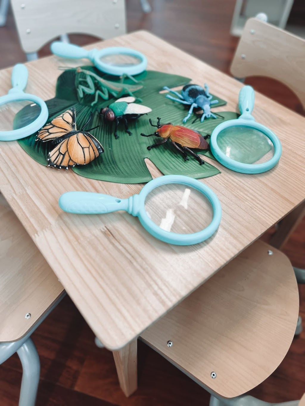 Kids Cave Abermain | 23 Grafton St, Abermain NSW 2326, Australia | Phone: (02) 4934 2113