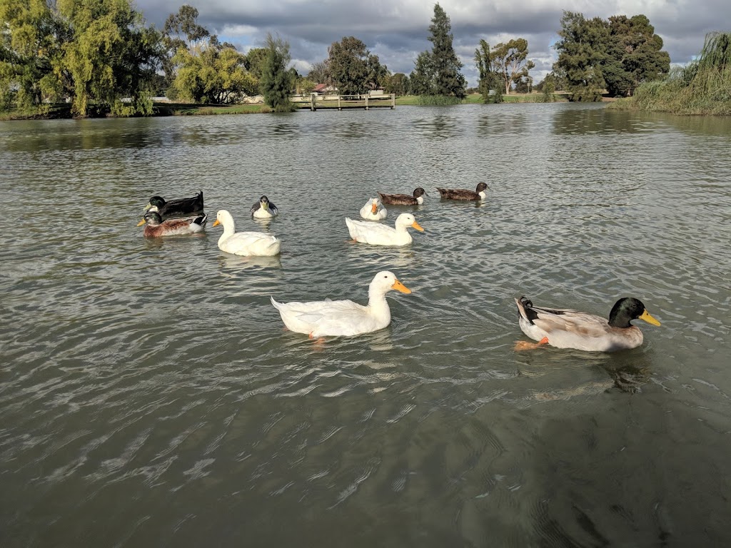 McCaughey Bicentennial Park | park | Hebden St, Yanco NSW 2703, Australia