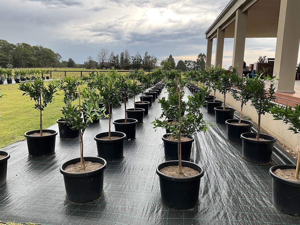 Highlands Horticulture Corp Pty Ltd | 35 New Jerusalem Rd, Oakdale NSW 2570, Australia | Phone: 0499 555 292