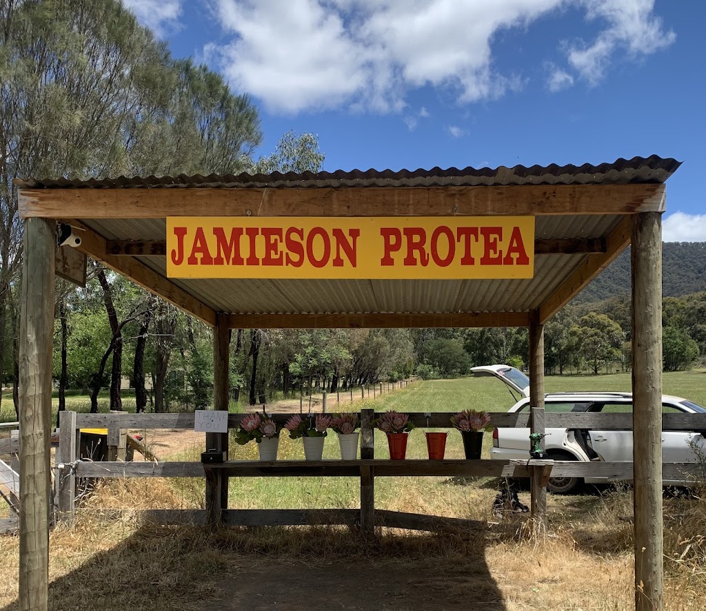 Jamieson Protea Farm |  | 6014 Eildon-Jamieson Rd, Jamieson VIC 3723, Australia | 0473883446 OR +61 473 883 446