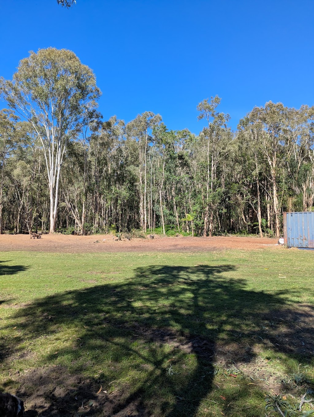 Protrax Vegetation Management | Twin View Rd, Elimbah QLD 4516, Australia | Phone: 0405 816 527