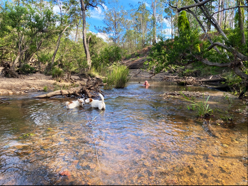 Platypus Point | Platypus Point, 6054 Bruxner Hwy, Tabulam NSW 2469, Australia | Phone: 0412 130 794