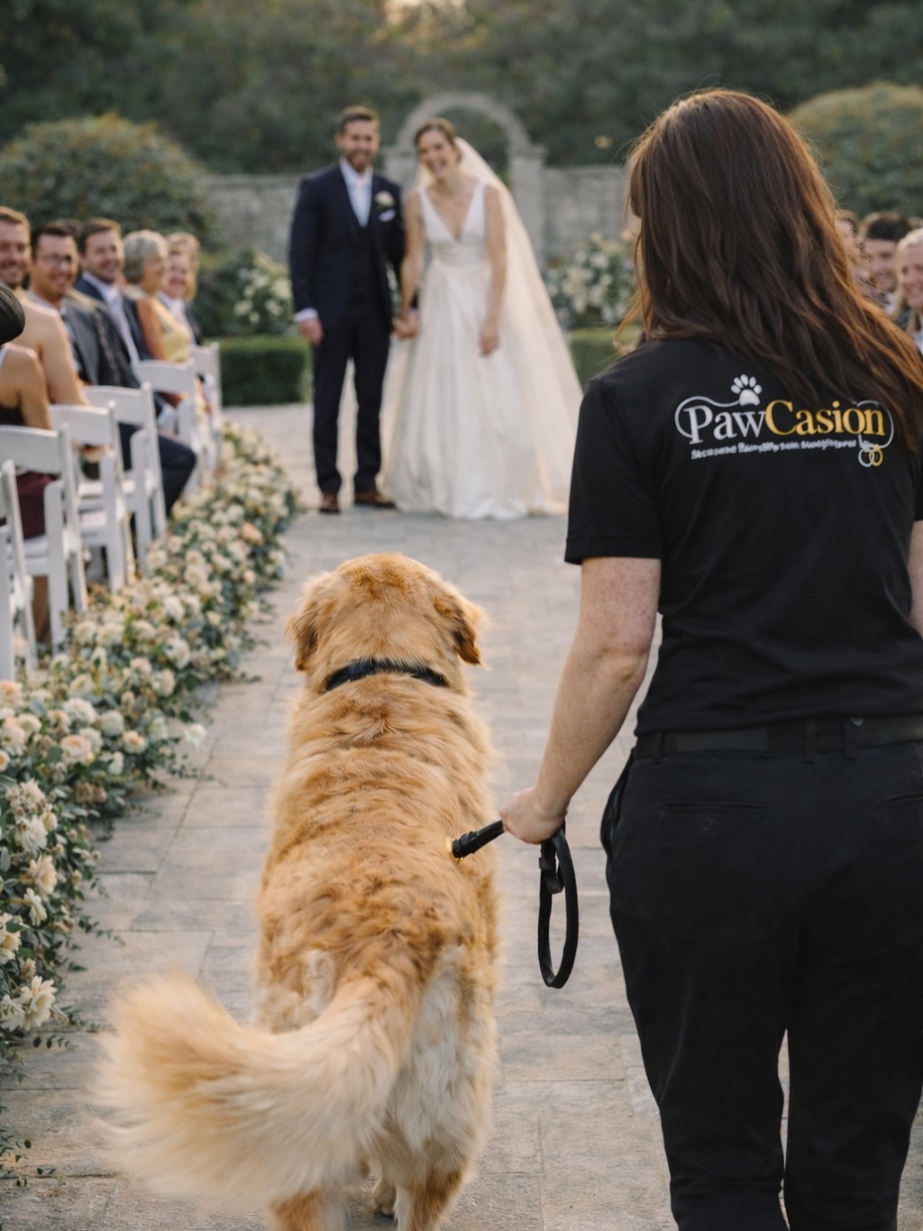 PawCasion | 6 Carribee Cl, Berrima NSW 2577, Australia | Phone: 0424 852 142