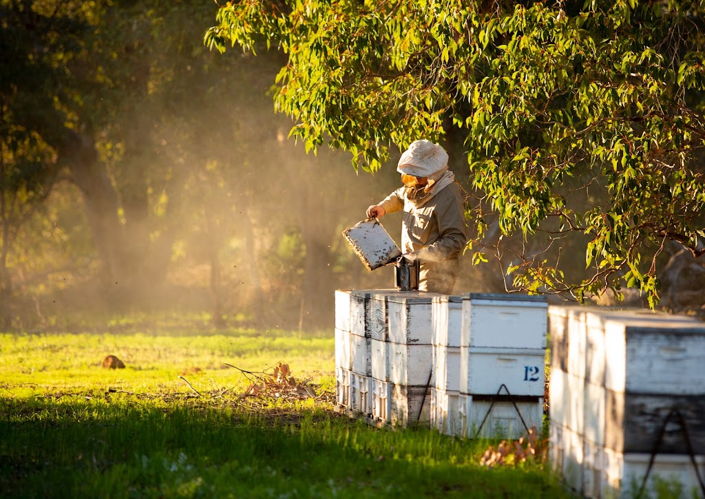 West Coast Honey | 172 Gingin Brook Rd, Granville WA 6503, Australia | Phone: (08) 9575 1250