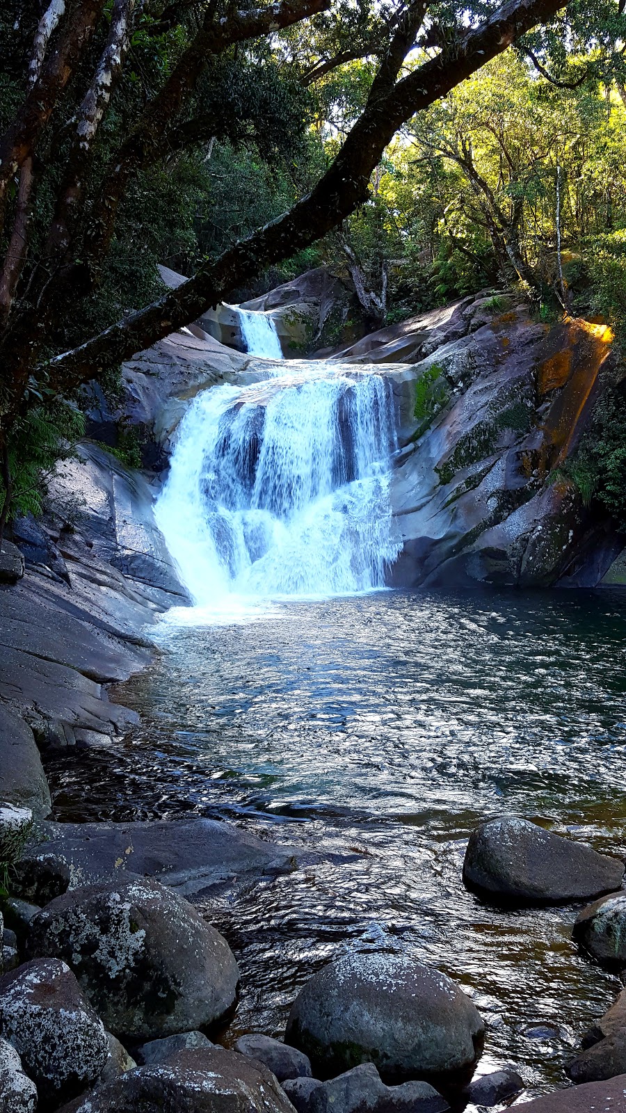 Josephine Falls, Wooroonooran National Park | park | 1 Josephine Falls Rd, Bartle Frere QLD 4861, Australia