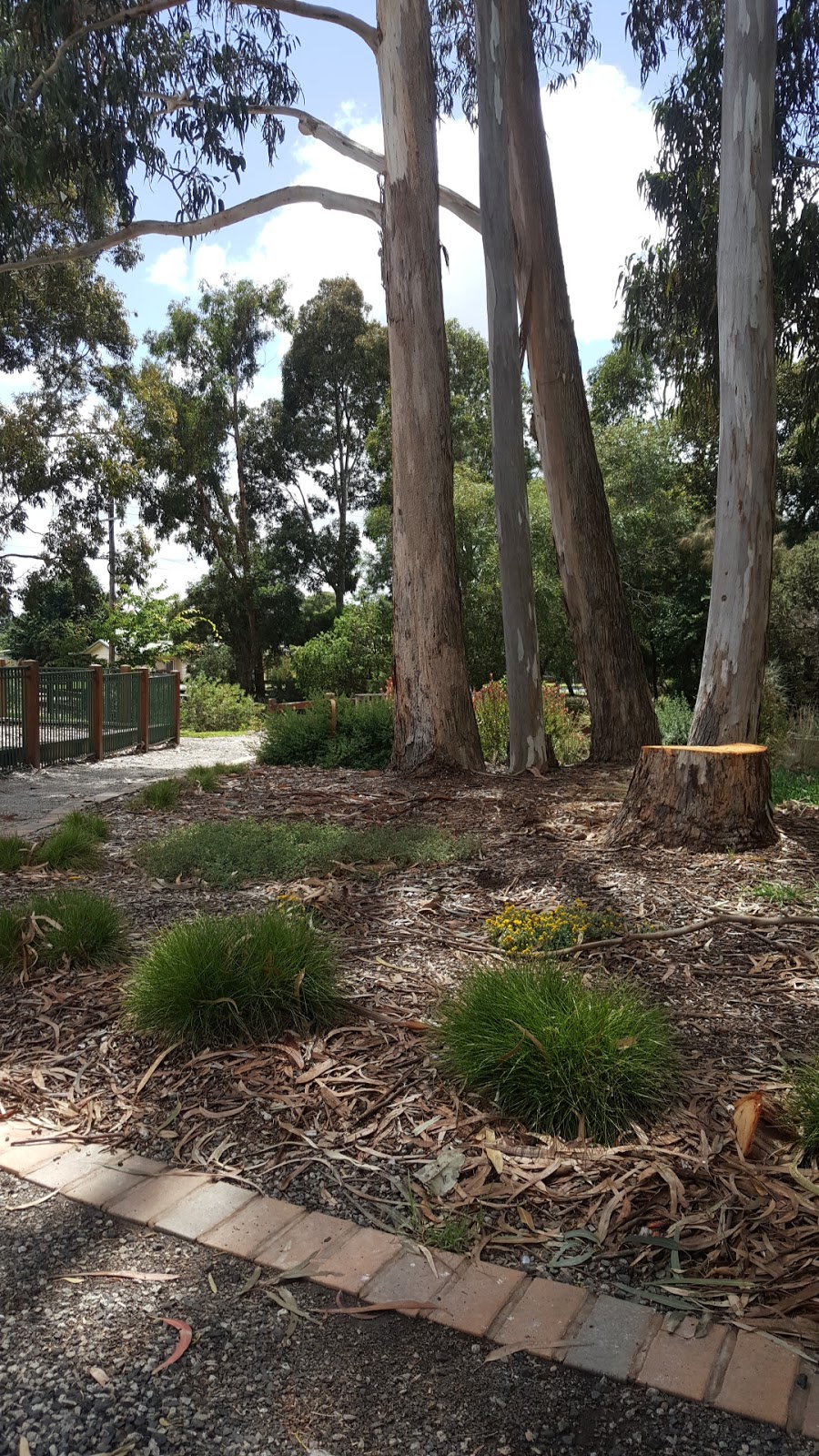 R E Mcindoe Park | park | Leongatha VIC 3953, Australia