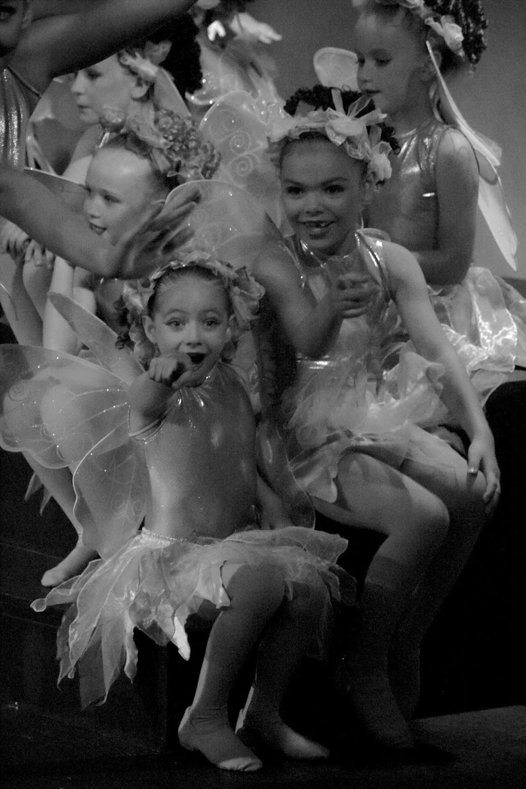 Danzart Studio | 83 Oateson Skyline Dr, Seven Hills QLD 4170, Australia | Phone: (07) 3843 3011