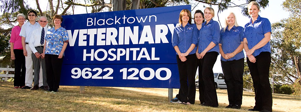 Blacktown Veterinary Hospital | veterinary care | 43 Burnie St, Blacktown NSW 2148, Australia | 0296221200 OR +61 2 9622 1200