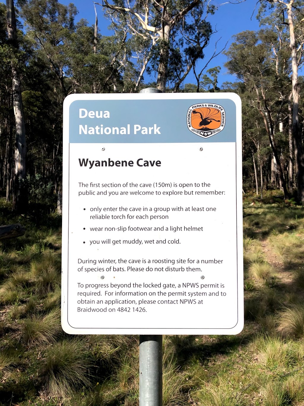 Wyanbene Campground | campground | Wyanbene Rd, Wyanbene NSW 2622, Australia