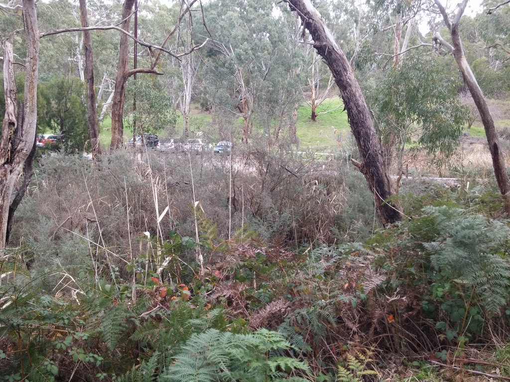 Cherry Gardens Cemetery | 600 Cherry Gardens Rd, Cherry Gardens SA 5157, Australia