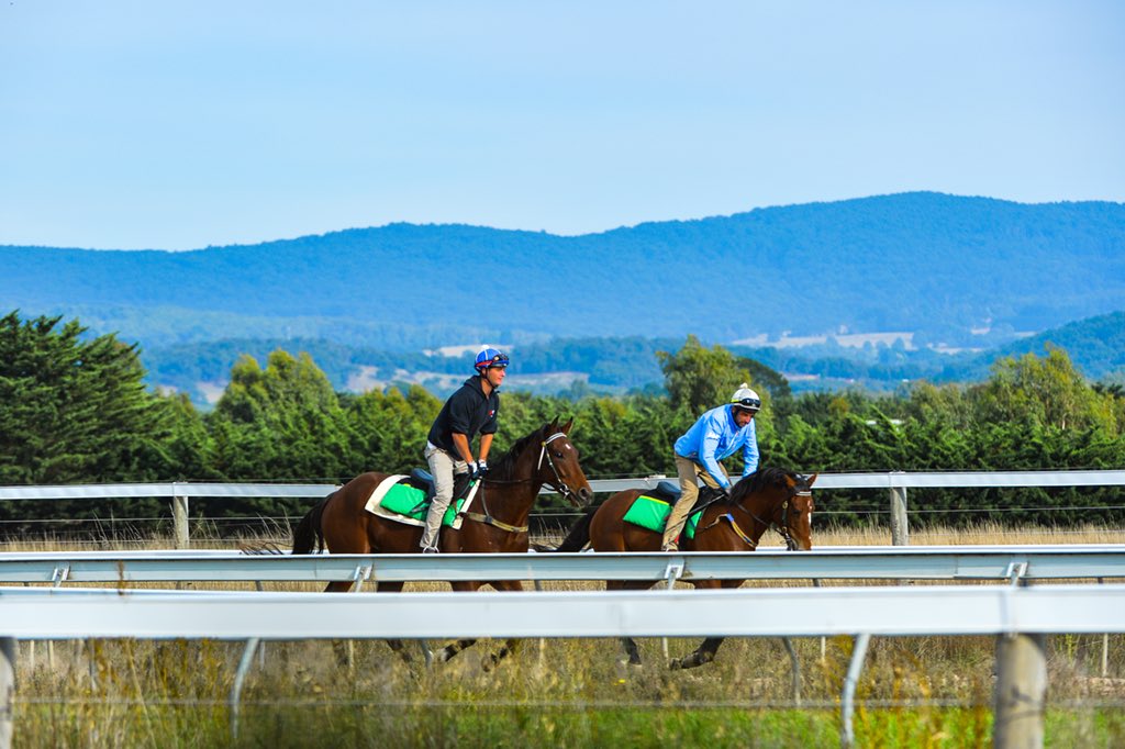 Luke Oliver Racing | 6 Greens Ln, Romsey VIC 3434, Australia | Phone: 0410 649 727