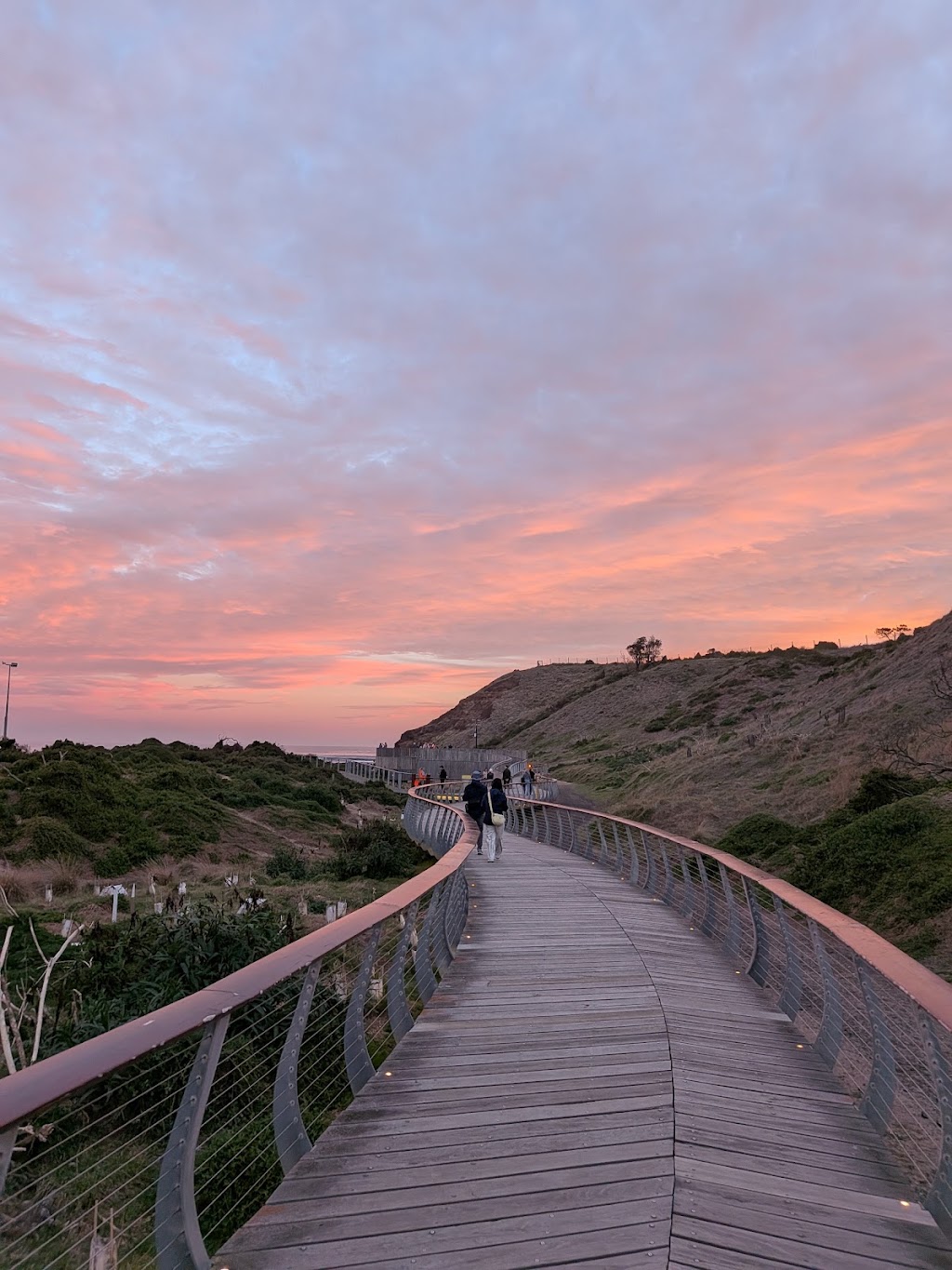 Penguin Parade Visitor Centre | 1019 Ventnor Rd, Summerlands VIC 3922, Australia | Phone: (03) 5951 2830
