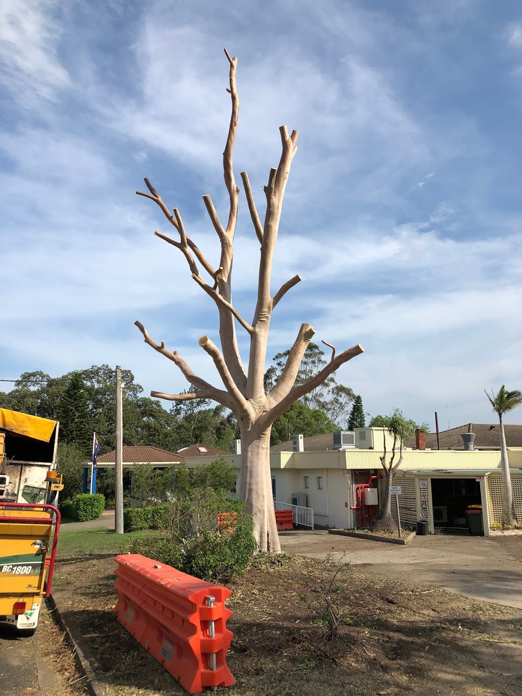 Jeff Pearce Tree Services | 24 Caleyi Cres, Tuncurry NSW 2428, Australia | Phone: 0415 312 104