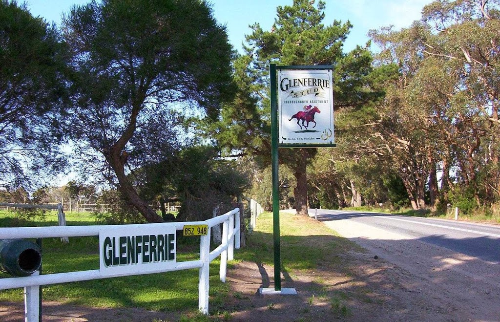 Glenferrie Stud | travel agency | 1334 Brookman Rd, Dingabledinga SA 5172, Australia | 0885567284 OR +61 8 8556 7284