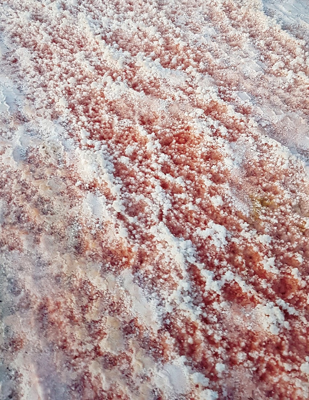 Lake Charm Salt | 22 Lake Charm E Rd, Lake Charm VIC 3581, Australia | Phone: 0428 575 264