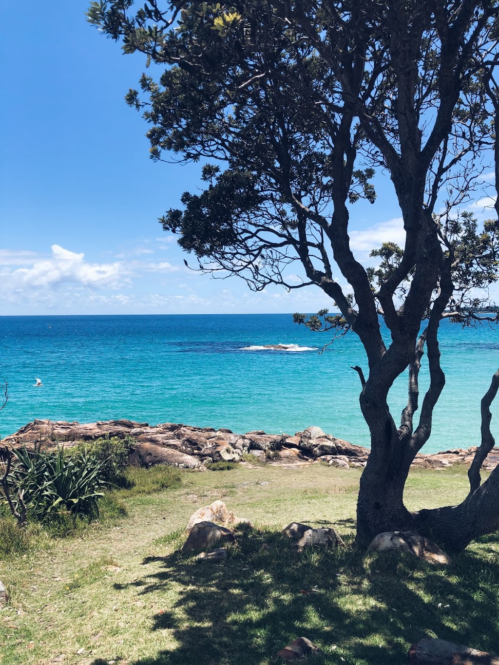 Boat Chair | South West Rocks NSW 2431, Australia