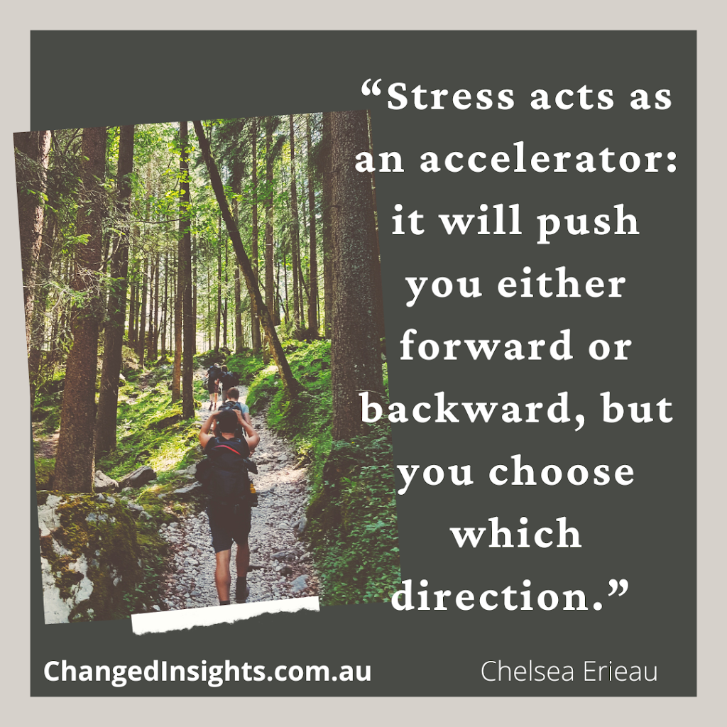Changed Insights | Online Telehealth and In person Counselling Suites, 148/150 Maroondah Hwy, Croydon VIC 3138, Australia | Phone: 0484 678 554