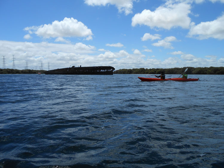 Adventure Kayaking SA| Port River Dolphins | LOT 204 Garden Island Rd, Port Adelaide SA 5015, Australia | Phone: 0429 019 141