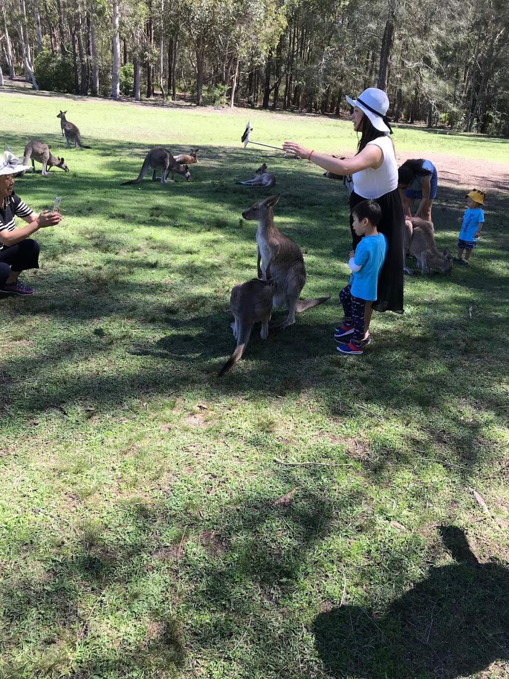 Morisset Hospital | Morisset Park Rd, Morisset Park NSW 2264, Australia