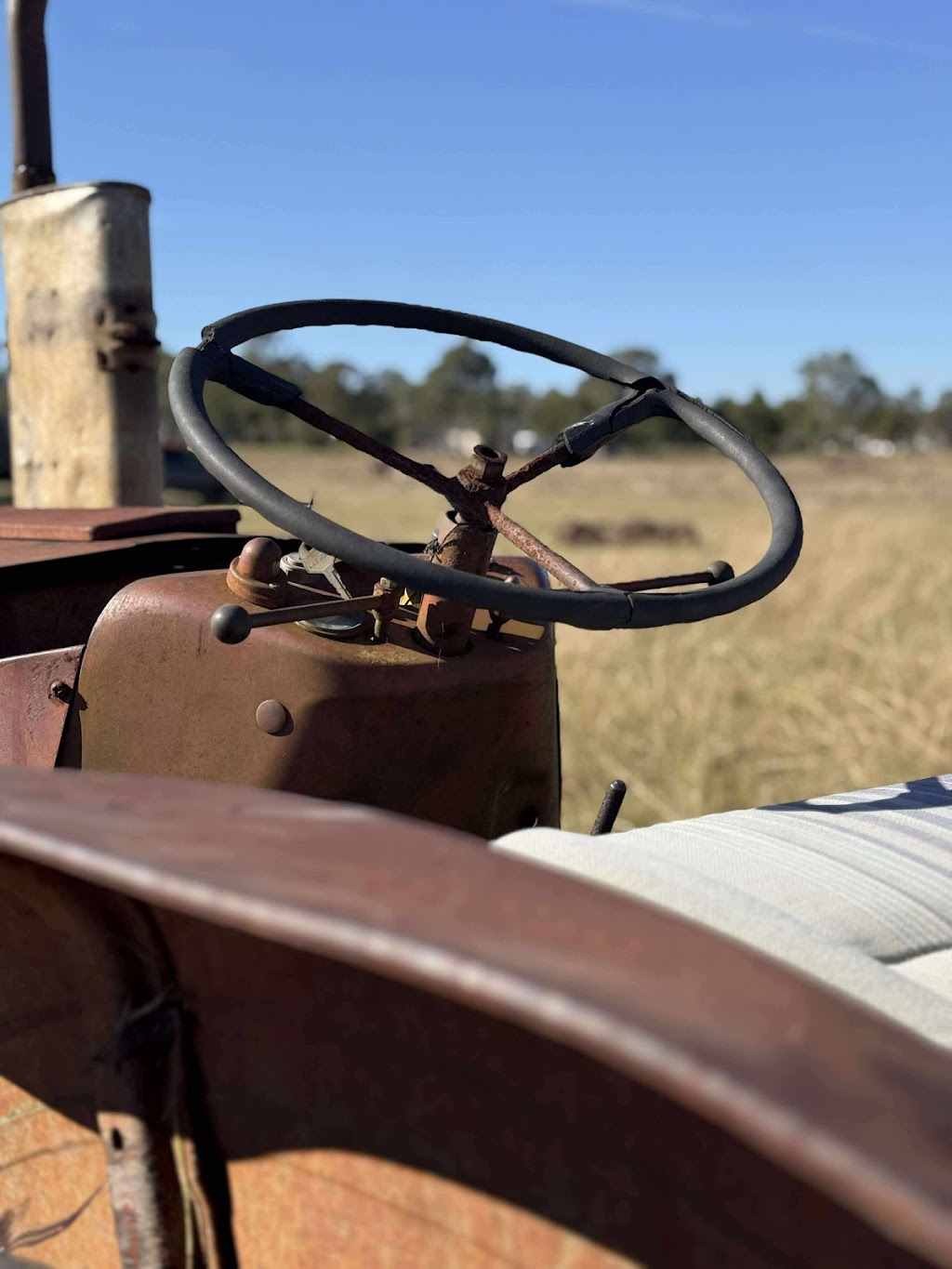 Yellow Rose Ranch | 14A Caleys Ct, Lockrose QLD 4342, Australia | Phone: 0492 857 810