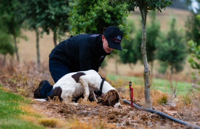 RedGround Truffles | 264 Titania Rd, Oberon NSW 2787, Australia | Phone: 0457 775 297