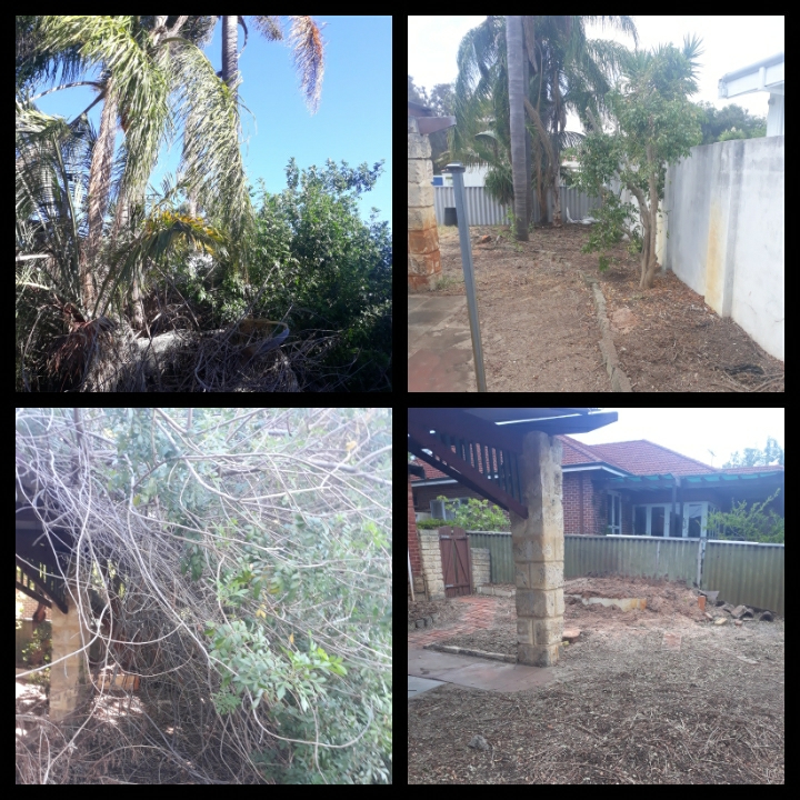 Tree Services Perth - Treeze | 173 Crawford St, East Cannington WA 6107, Australia | Phone: 0474 381 684