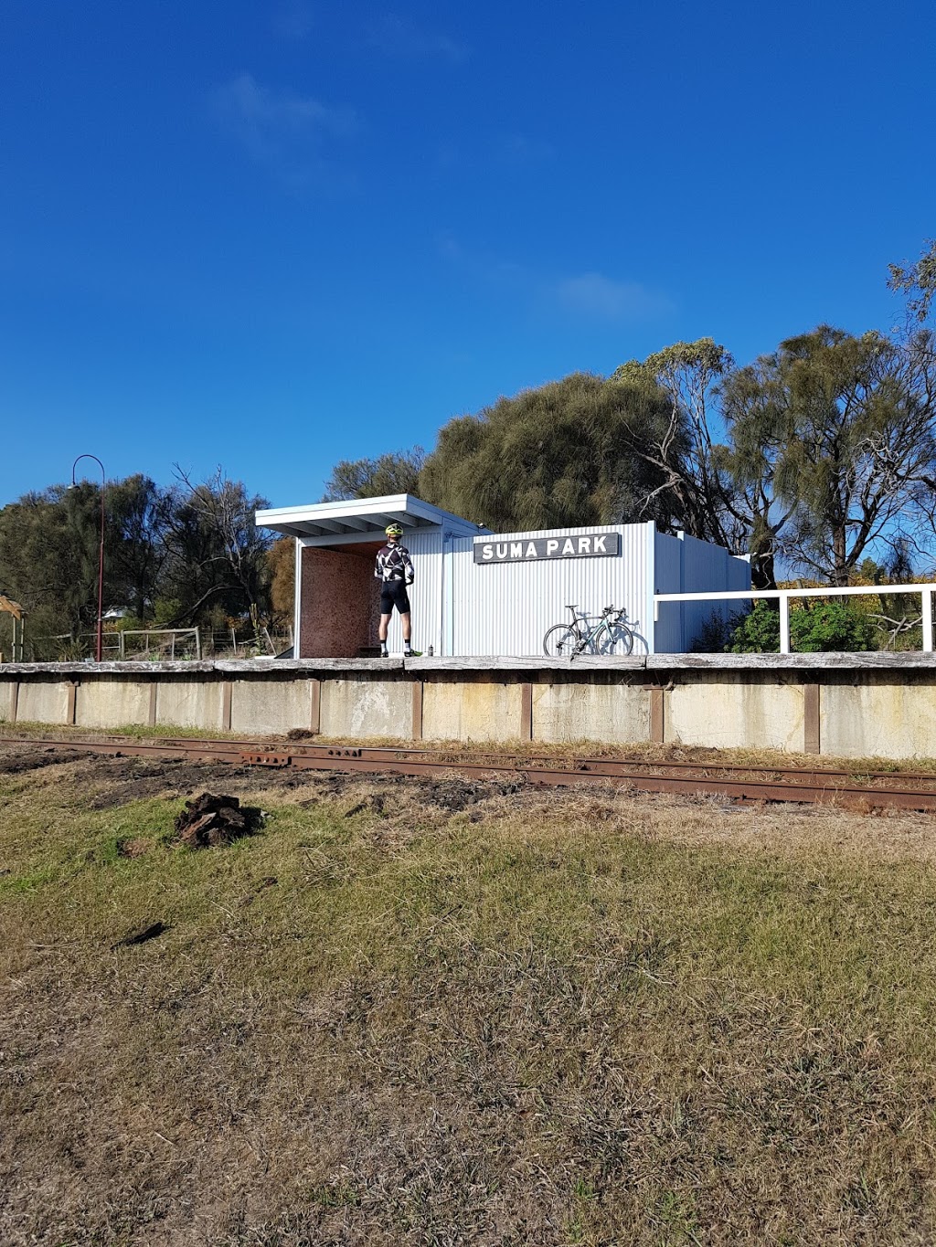 Lonsdale Tomato Farm | 49 Yarram Creek Ln, Point Lonsdale VIC 3225, Australia | Phone: (03) 5258 2665