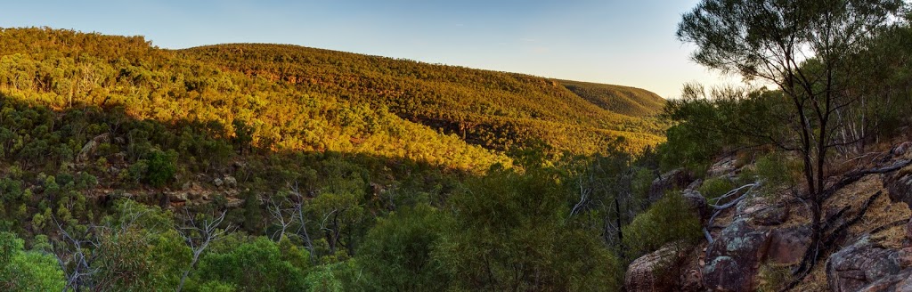 Weddin Mountains National Park | park | Nowlans Rd, Piney Range NSW 2810, Australia | 0263327640 OR +61 2 6332 7640