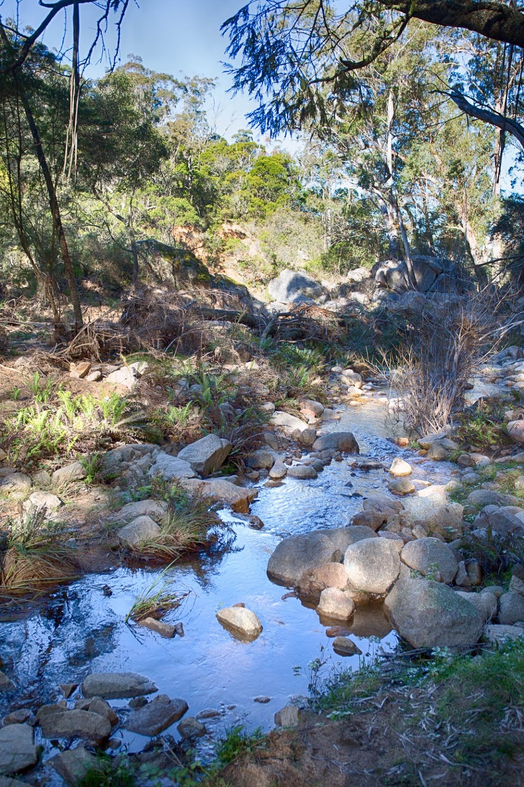 Majors Creek State Conservation Area | Araluen NSW 2622, Australia