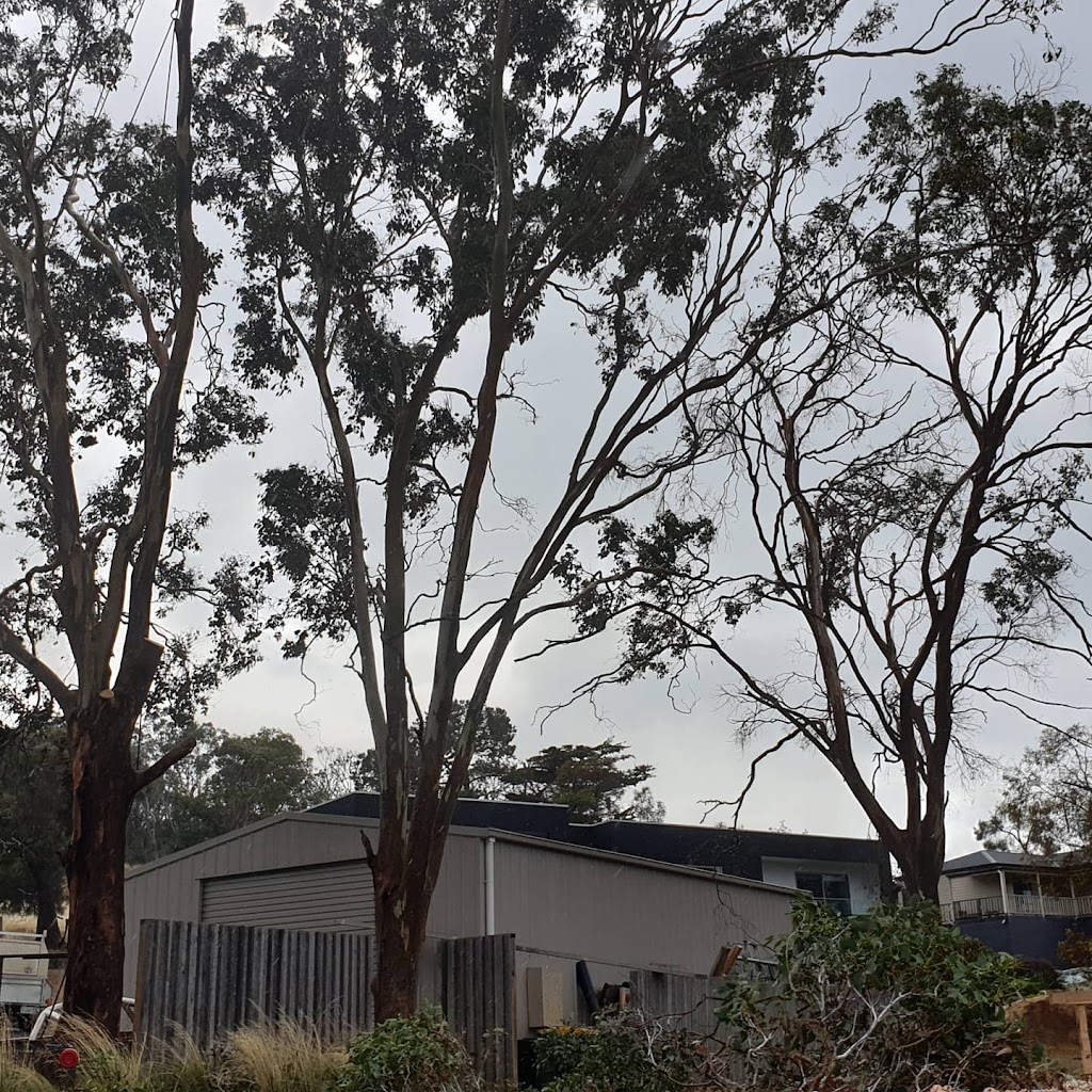 Arbor Co Tasmania | 51 Opus Dr, Acton Park TAS 7170, Australia | Phone: 0413 321 333