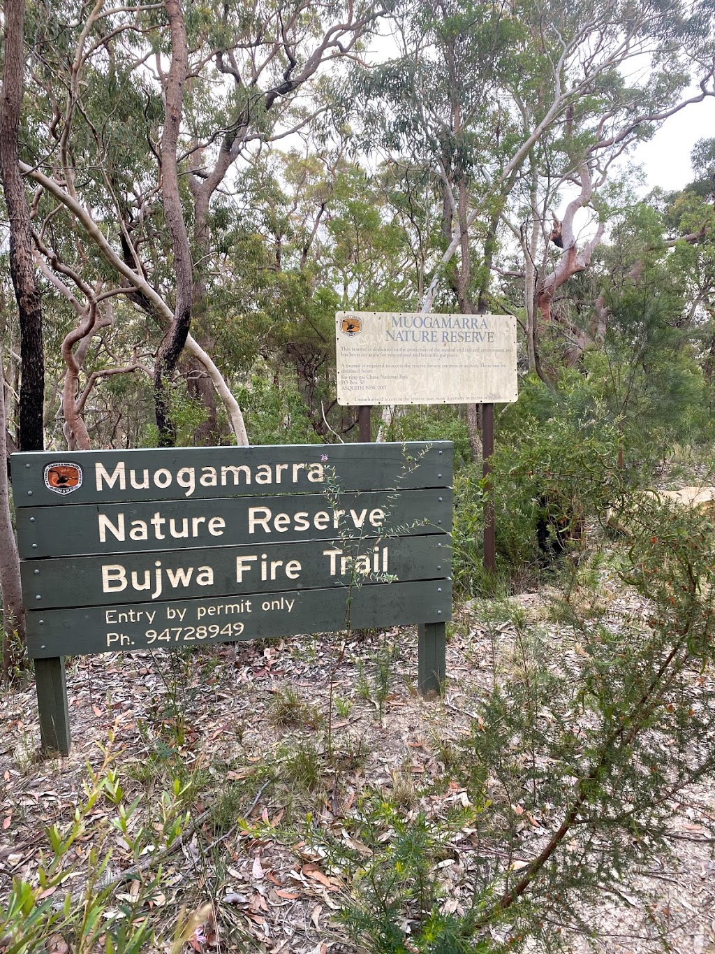 Bujwa Bay Trail | park | Bujwa Point Track, Berowra Creek NSW 2082, Australia