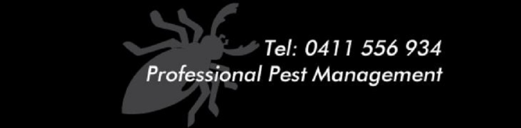 I C Bugs - Pest Control & Termite Management | home goods store | 2 Walnut Cl, Hamlyn Terrace NSW 2259, Australia | 0411556934 OR +61 411 556 934