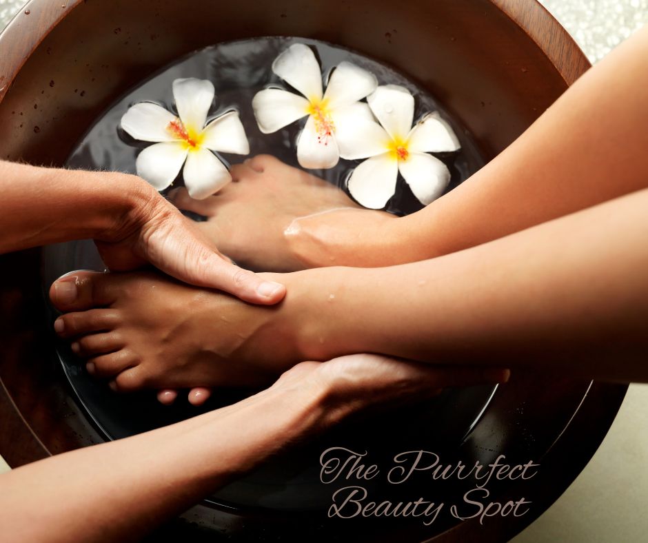 The Purrfect Beauty Spot | 58 Coastal View Dr, Tallwoods Village NSW 2430, Australia | Phone: 0405 166 708