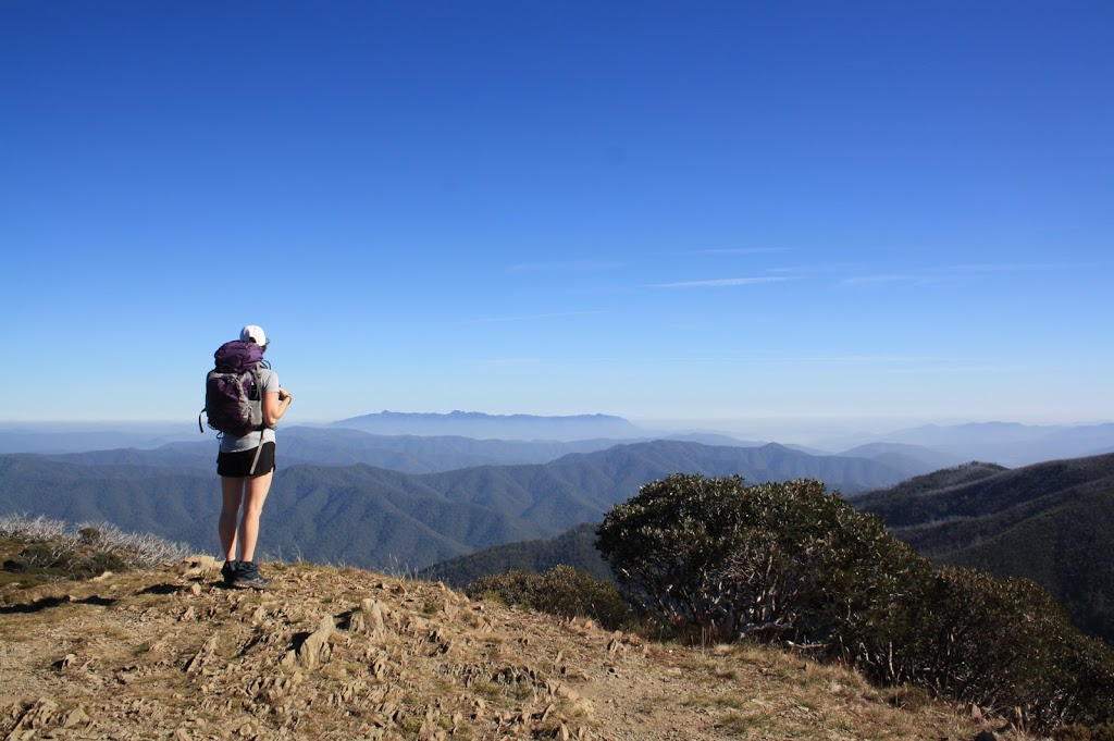 Holistic Hikes | Jones Rd, Somerville VIC 3912, Australia | Phone: 0416 583 075