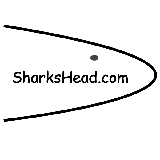 SharksHead | 17 Adina St, Jordan Springs NSW 2747, Australia | Phone: (02) 8030 8979