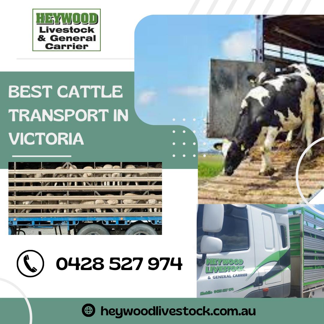 Heywood Livestock & General Carrier | travel agency | 1479 Princes Hwy, Heywood VIC 3304, Australia | 0428527974 OR +61 428 527 974